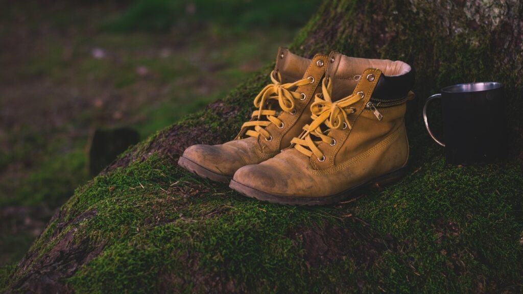 Schoenen grootste merken