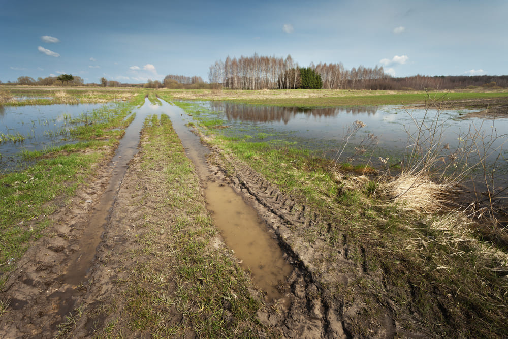 deze bodemproblemen moet je kennen in nederland