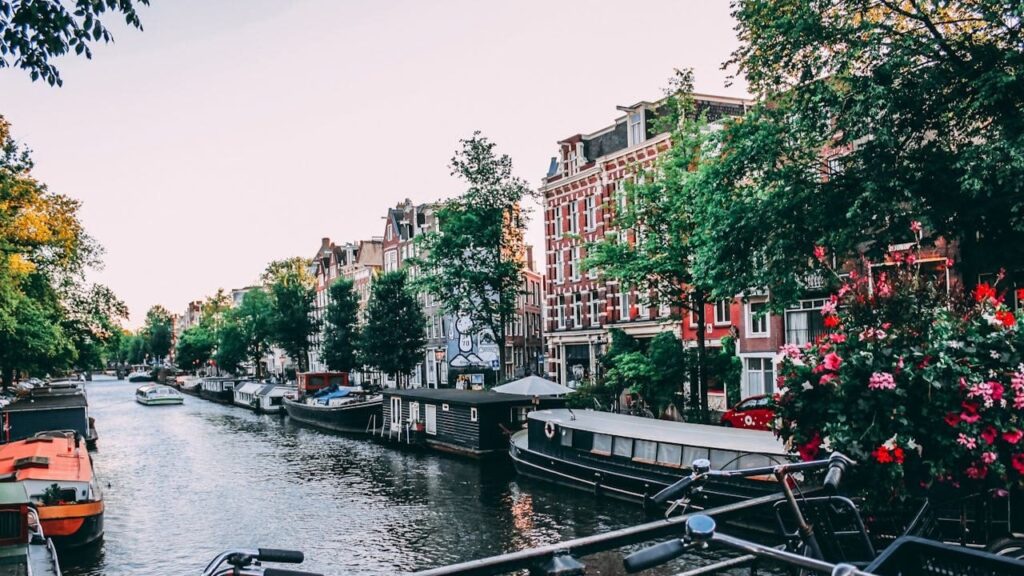 Gracht met woonboten en bloemen in studentenstad Amsterdam bij zonsondergang