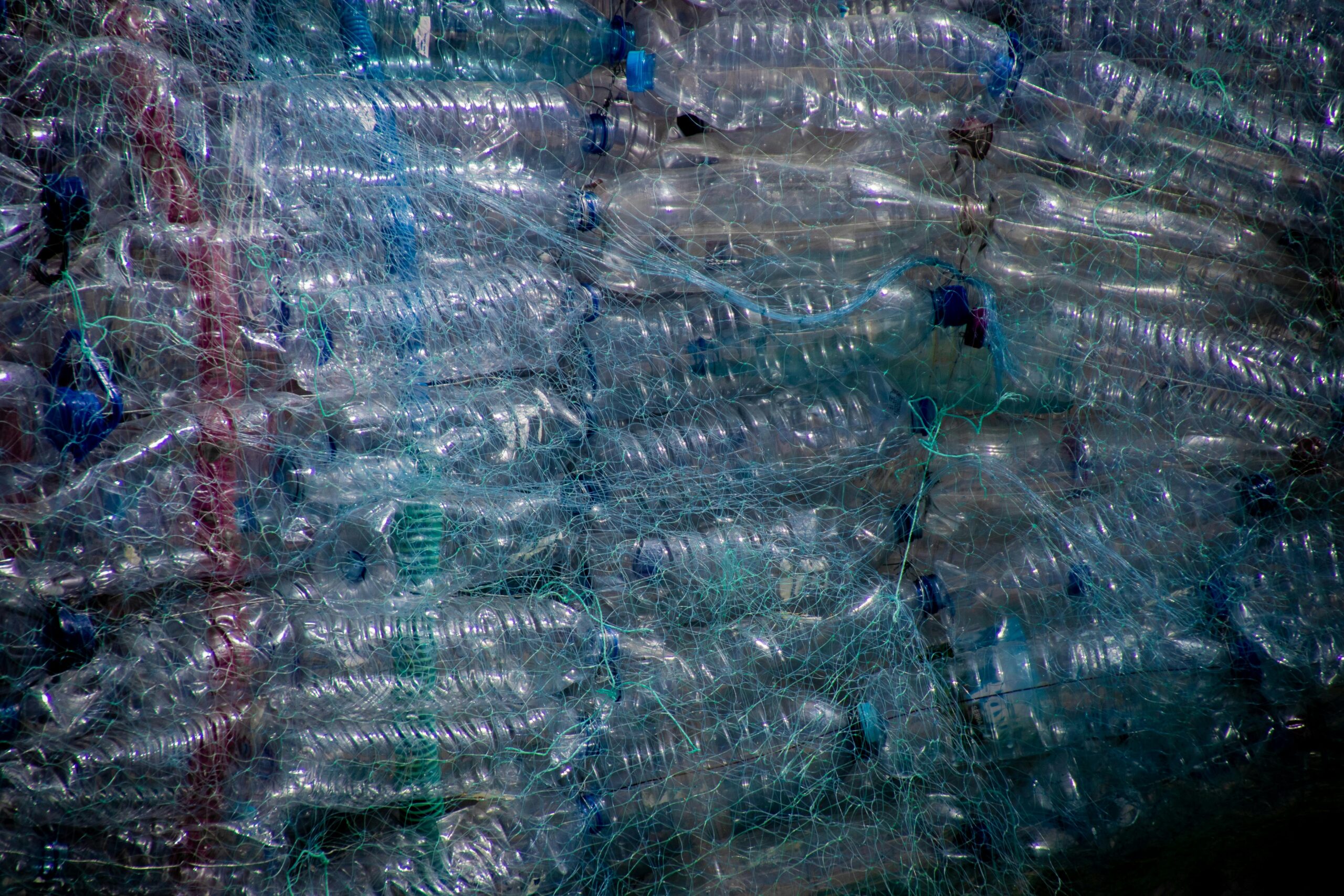 recycle recycle